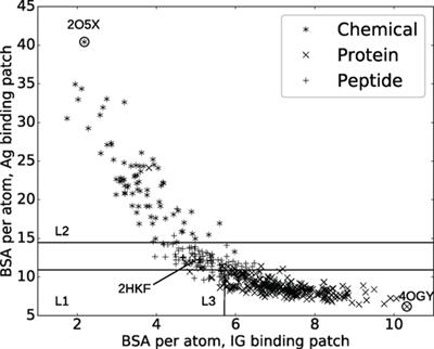Novel Structural Parameters of Ig–Ag Complexes Yield a Quantitative Description of Interaction Specificity and Binding Affinity